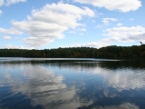 2008_boston_wild_life_28