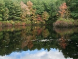 2008_boston_wild_life_29