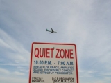 2008_boston_wild_life_38