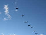 2008_boston_wild_life_44