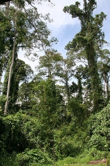 2010_malaysia_IMGA5960