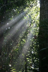 2010_malaysia_IMGA7167