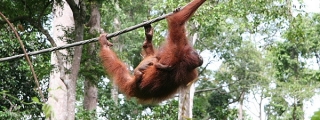 2010_malaysia_IMGA5974