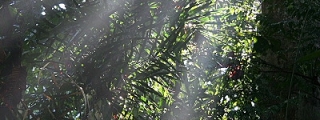 2010_malaysia_IMGA7167
