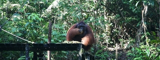 2010_malaysia_IMGA7171