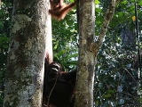 2010_malaysia_IMGA7279