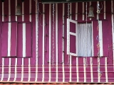 2010_malaysia_IMGA7556