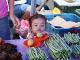 2010_malaysia_IMGA7604