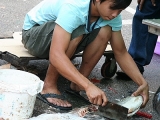 2010_malaysia_IMGA7605