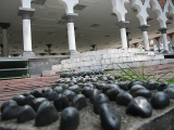 2010_malaysia_IMGA7862