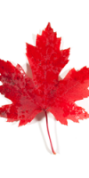 flag_canada