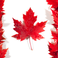 flag_canada