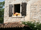 2011_istria_IMGB0691