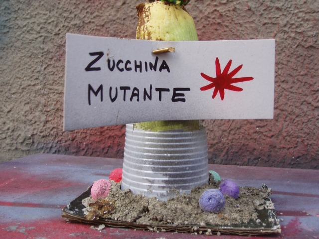 20110405_zucchina_mutante_P4050029