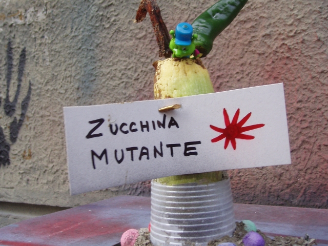 20110405_zucchina_mutante_P4050031