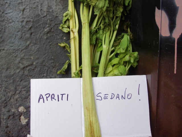 20110421_apriti_sedano_P4210041