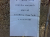 20120528_ladro_deficiente_in_ciclabile_01_28052012324