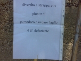 20120528_ladro_deficiente_in_ciclabile_02_28052012325